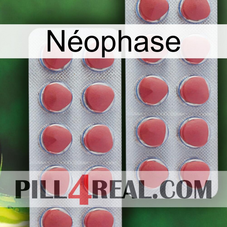 Néophase 19